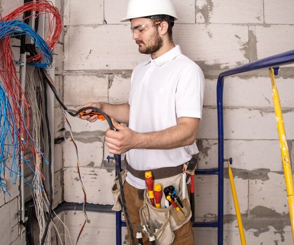 Electrician-In-BS35.jpg
